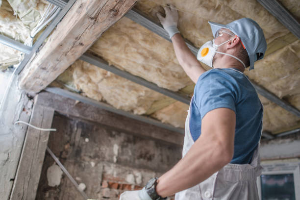 Best Specialized Insulation Services in USA